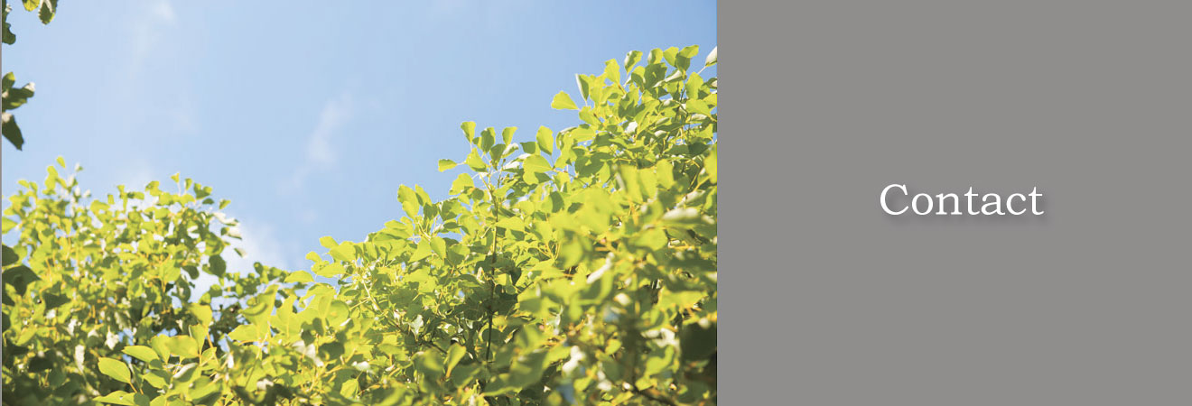 HEALING INTERIORノイメージ画像